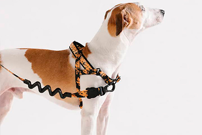 arnés antitirones perros